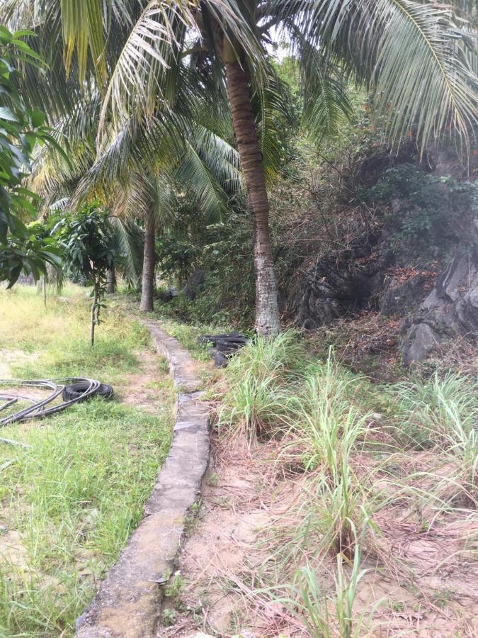Catba Beach House Chan Chau 外观 照片
